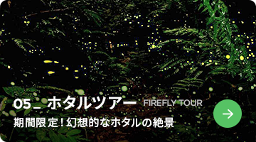 design02_btn05_off